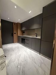 The Landmark (D3), Condominium #583923811